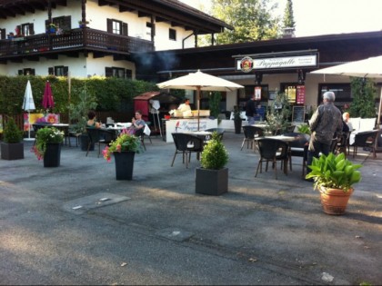 Foto: Pappagallo