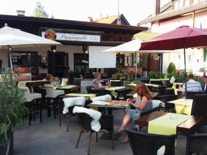 Foto: Pappagallo
